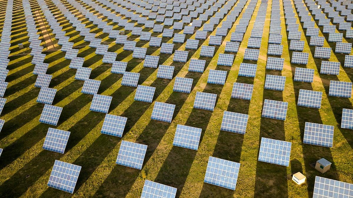 Viele Einzelnstehende Solarpanels auf grüner Wiese