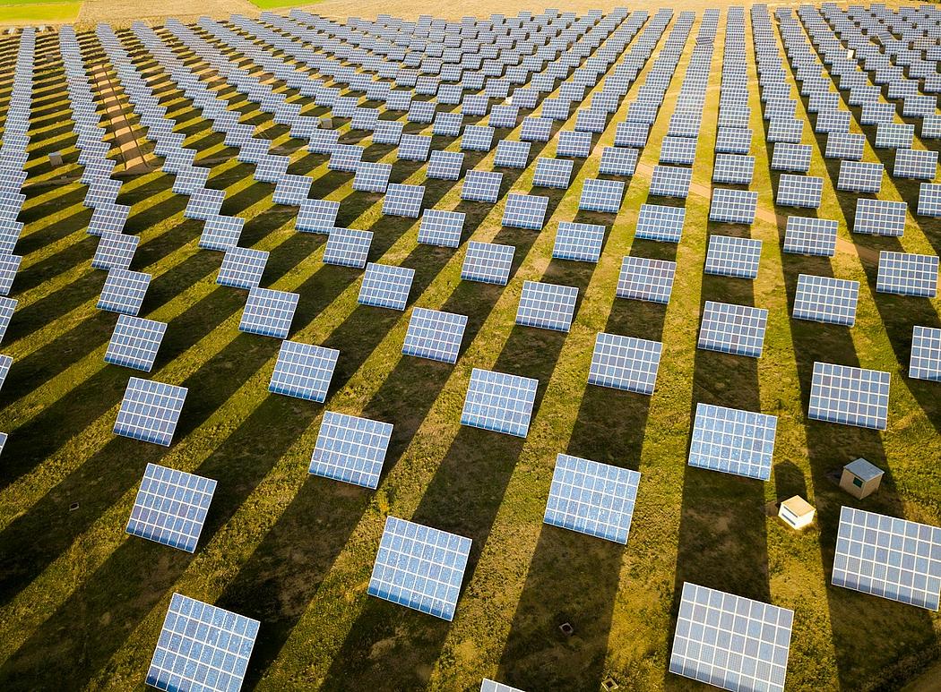 Viele Einzelnstehende Solarpanels auf grüner Wiese