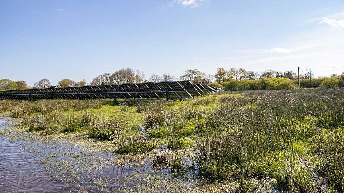 Solarmodulreihen, im Vordergrund nasse Fläche, im Hintergrund Bahntrasse