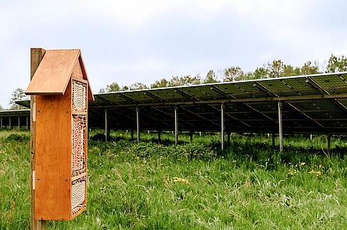 Solarpark mit Bienenhotel
