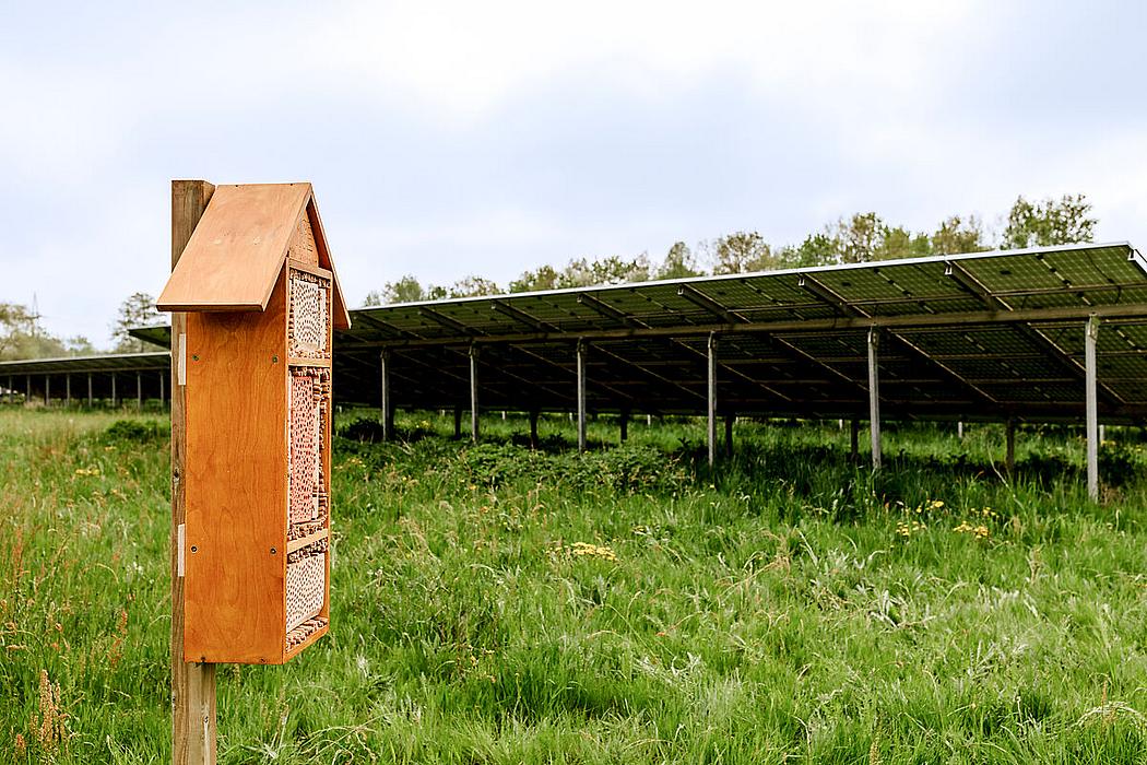 Solarpark mit Bienenhotel