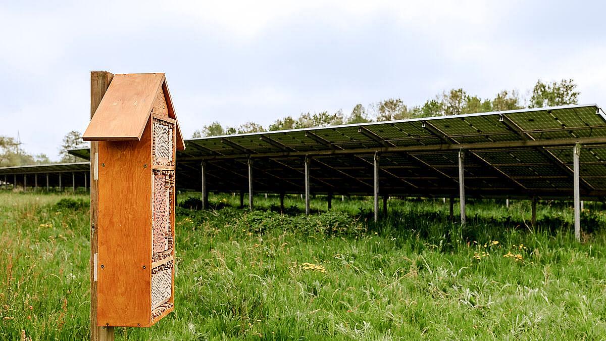 Solarpark mit Bienenhotel