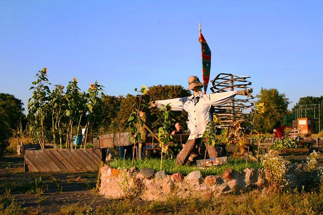 Urban Gardening wie hier auf dem Tempelhofer Feld mitten in Berlin ist beliebt – und geht ganz ohne Pestizide. (Foto: Nicole Allé)