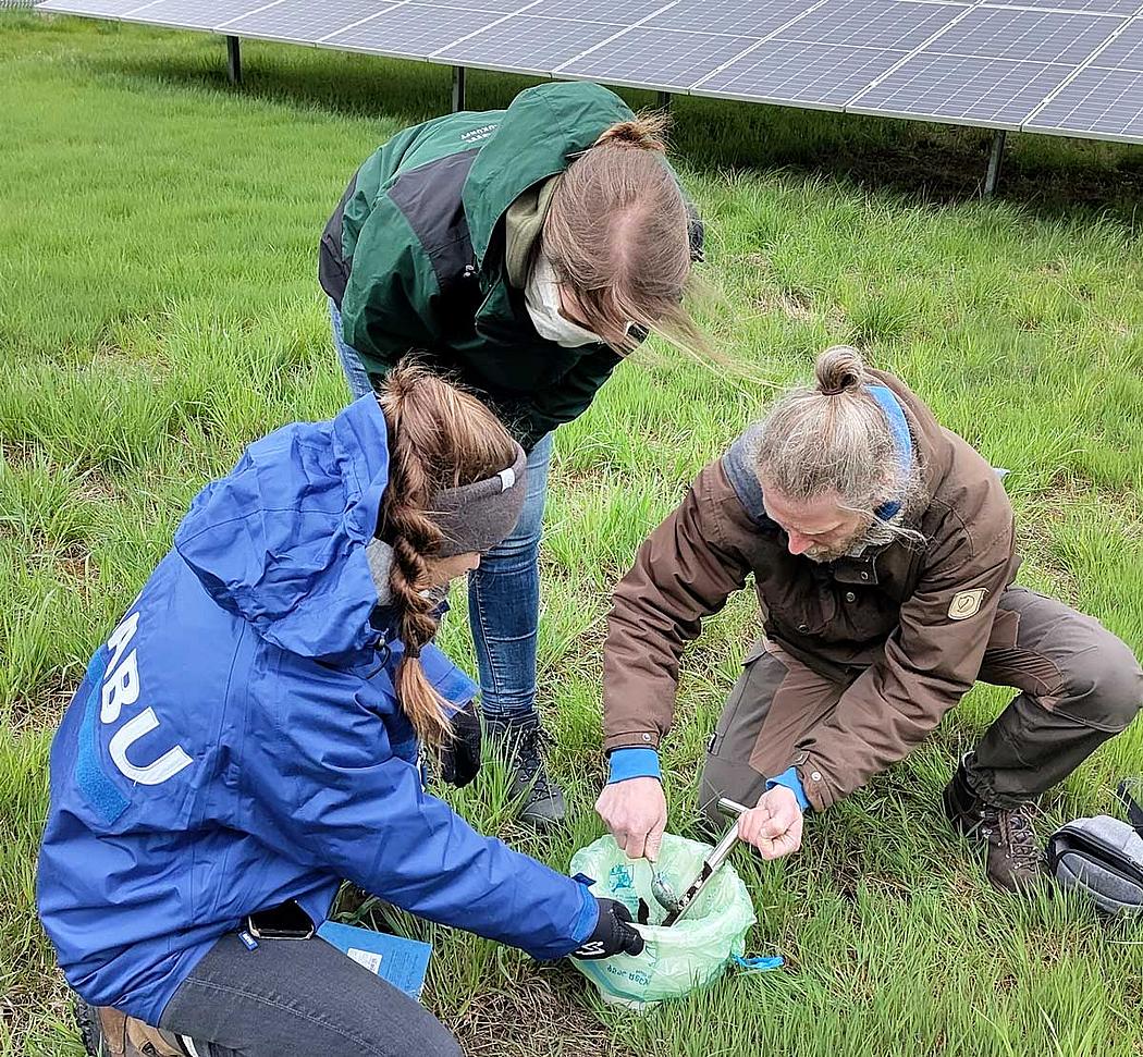 Drei Personen nehmen Bodenprobe, im Hintergrund Solarpark