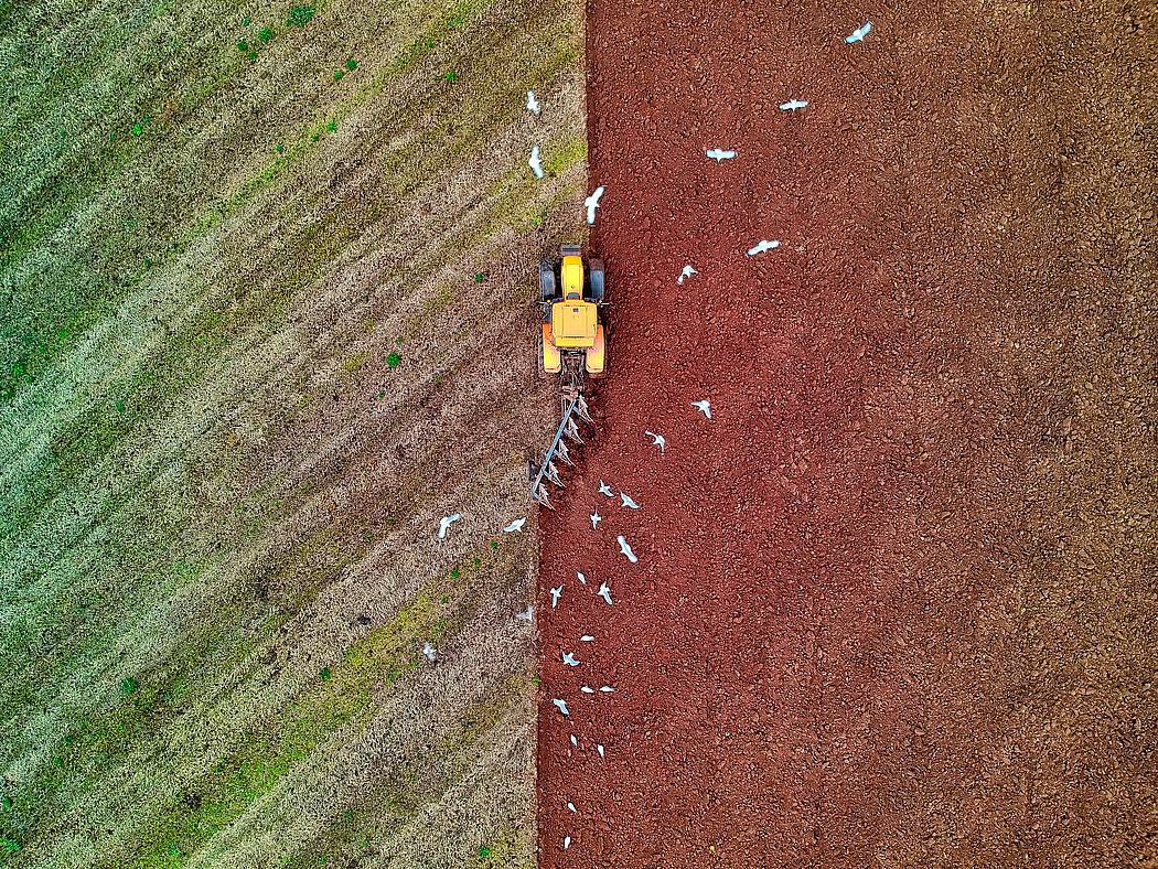 Traktor auf einem Feld aus der Vogelperspektive.
