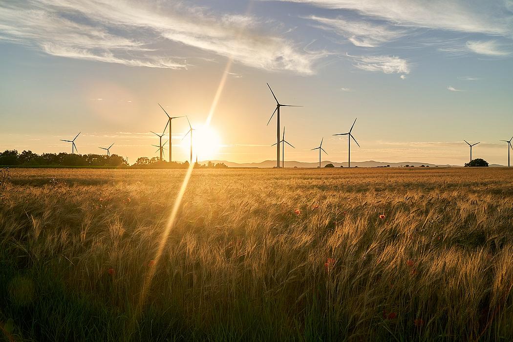 Windräder vor Sonnenuntergang