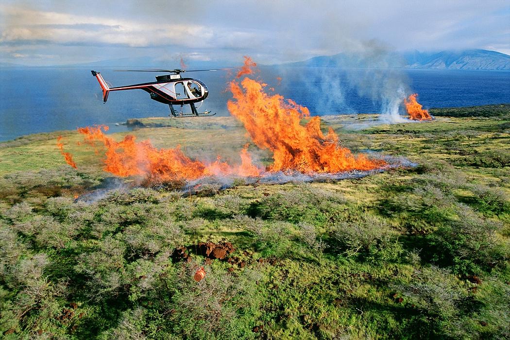 Lösch-Hubschrauber über einem brennenden Wald