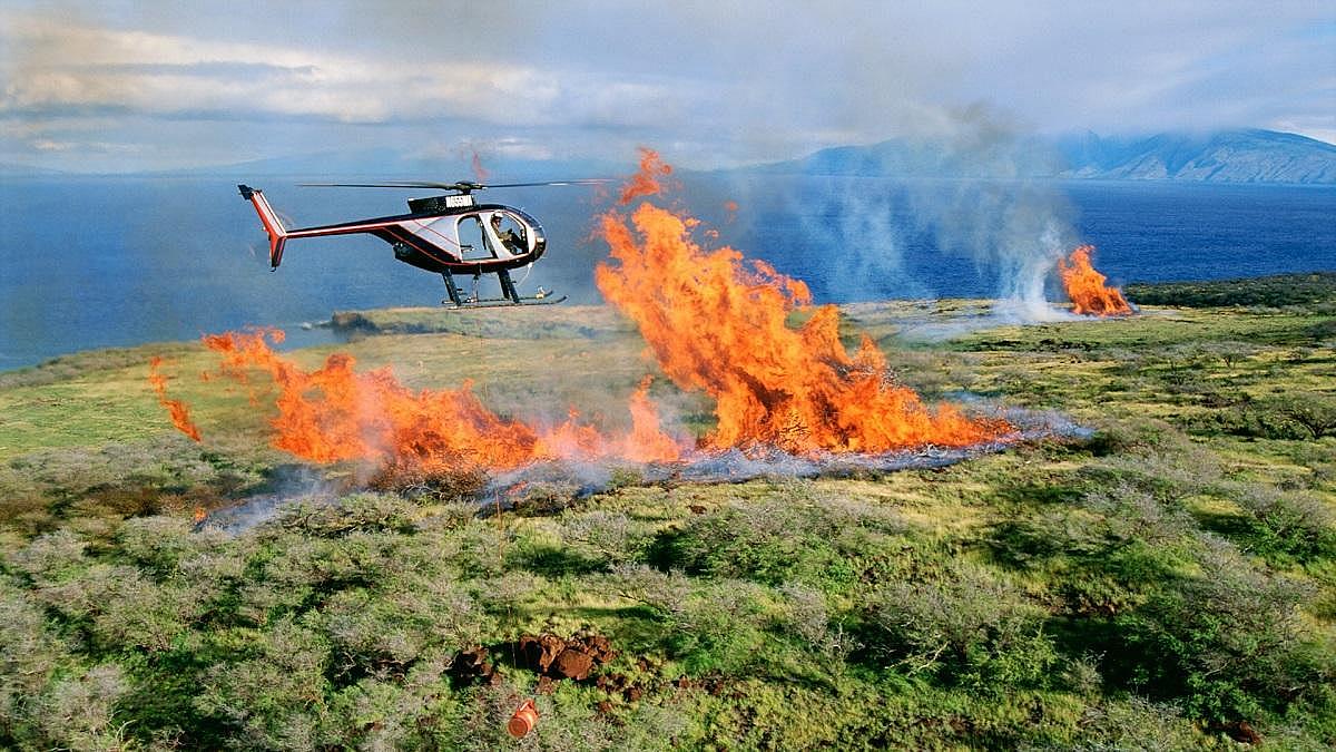 Lösch-Hubschrauber über einem brennenden Wald