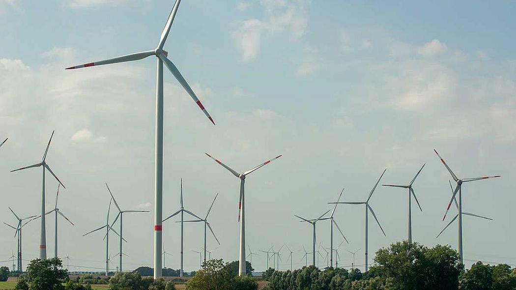 Viele Windräder in einer flachen Landschaft