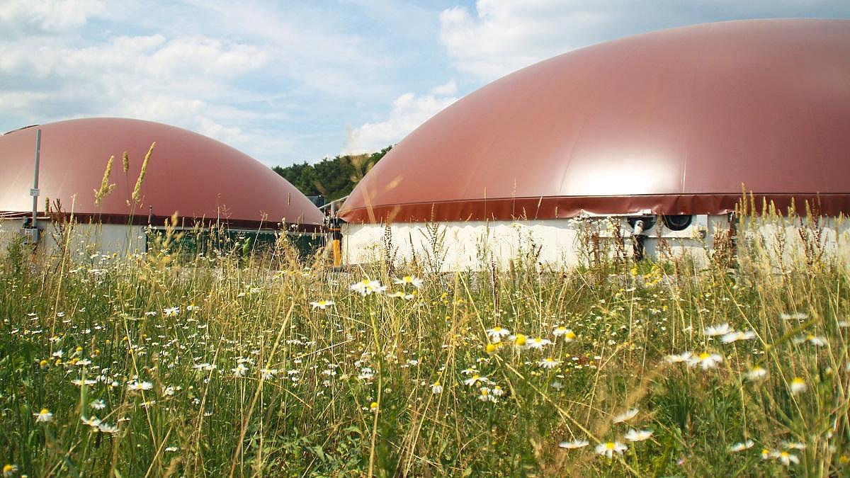 Biogasanlage mit zwei Kuppeln in einer Wildblumenwiese