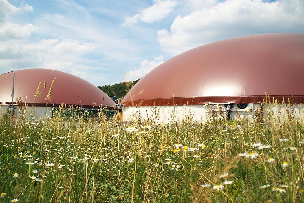 Biogasanlage mit zwei Kuppeln in einer Wildblumenwiese