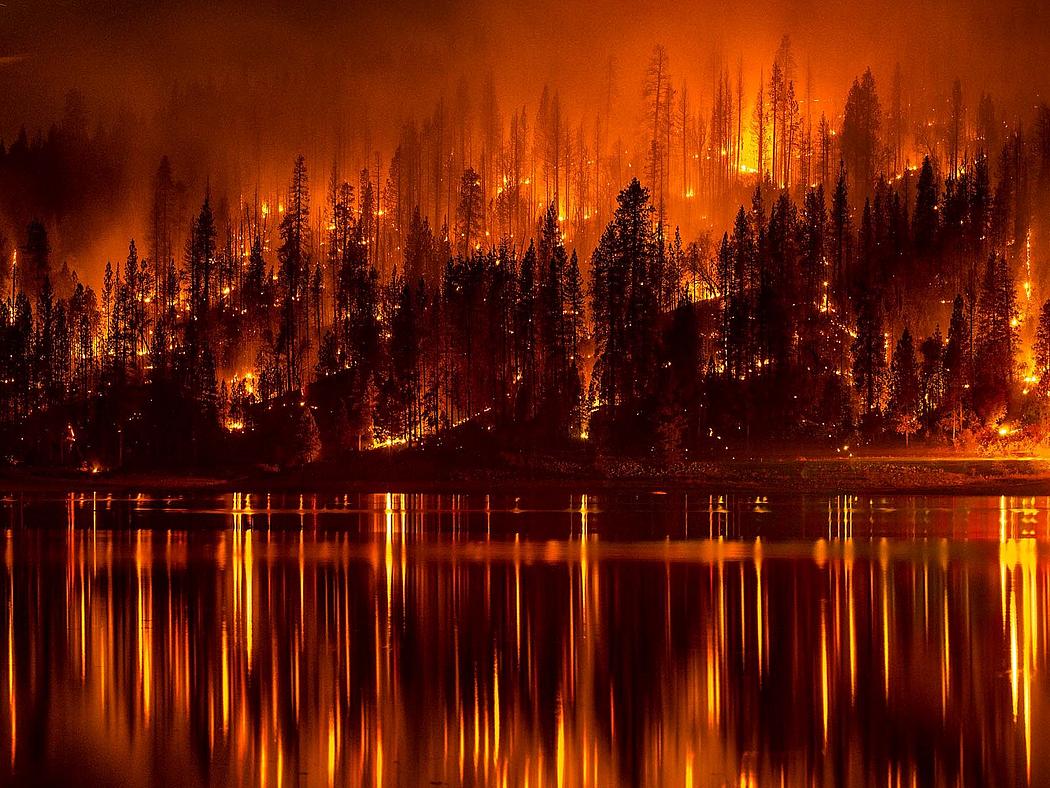 Bild von brennenden Bäumen an einem Waldhang, der sich in einem See spiegelt.