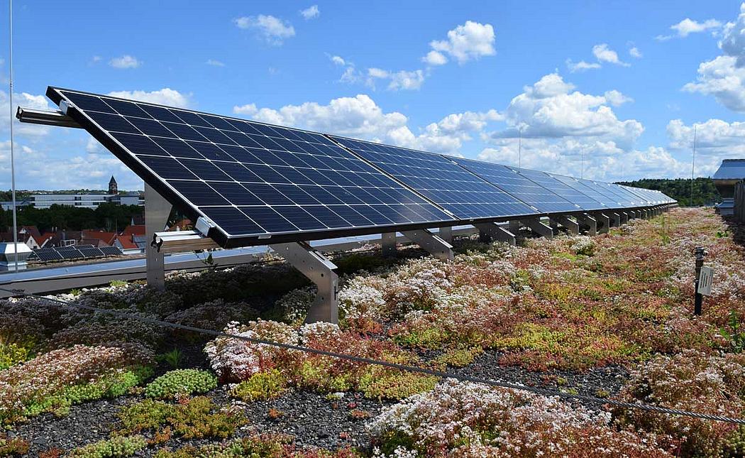 Solaranlage auf einem Gründach