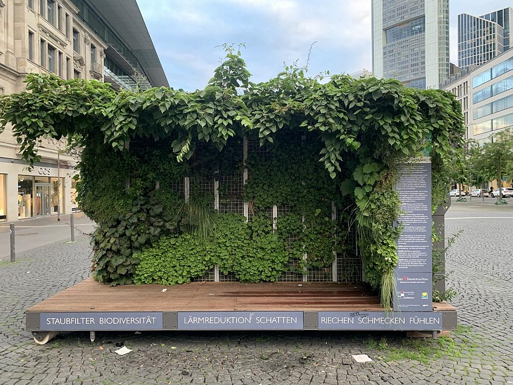 bepflanzter Container auf einem Stadtplatz