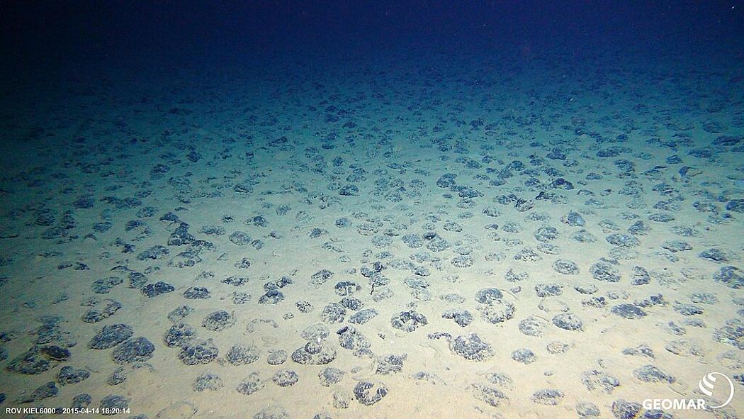 Manganknollen auf dem Meeresboden in der Clarion-Clipperton-Zone, 2015