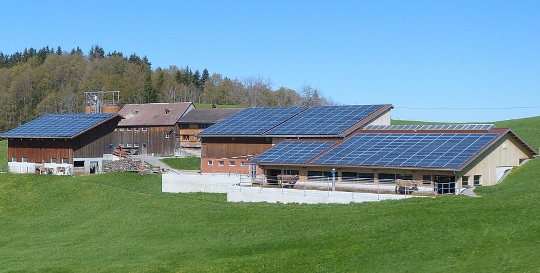 landwirtschaftliche Gebäude mit Solarpanels auf den Dächern