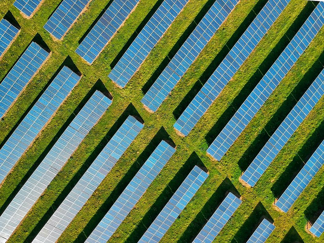 Solarmodule in Reihe auf grüner Wiese
