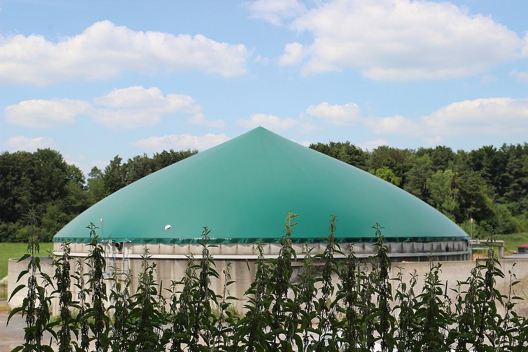 Biogasanlage, im Vordergrund wachsen Brennnesseln