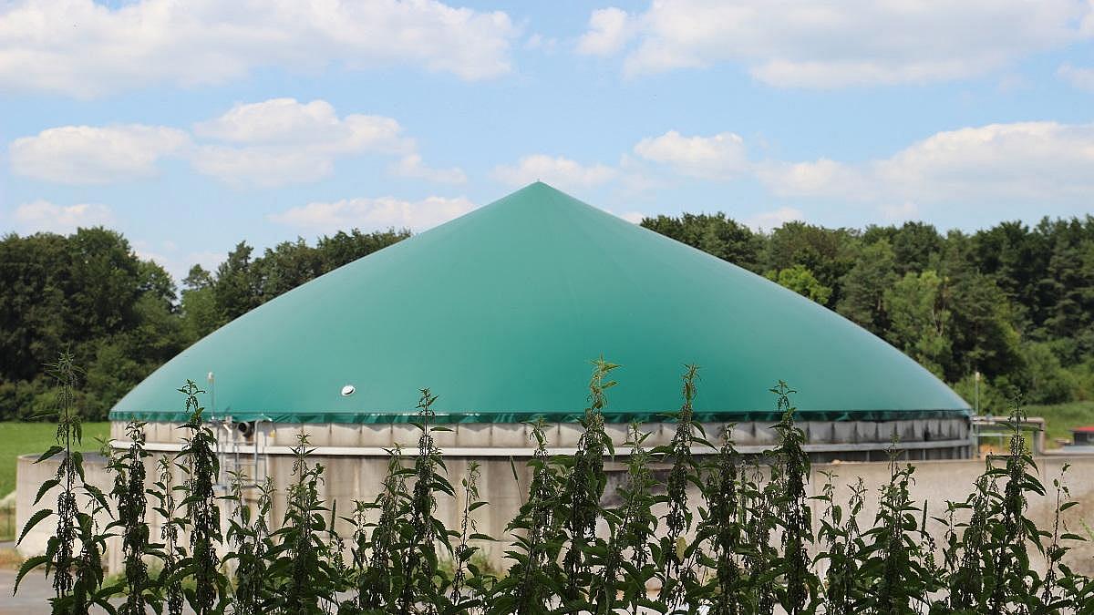 Biogasanlage, im Vordergrund wachsen Brennnesseln