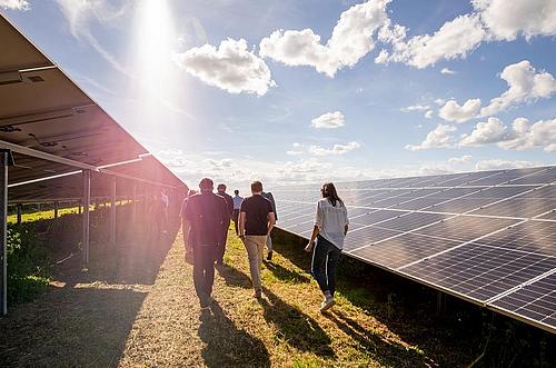 Eine Gruppe Menschen spaziert durch einen Solarpark