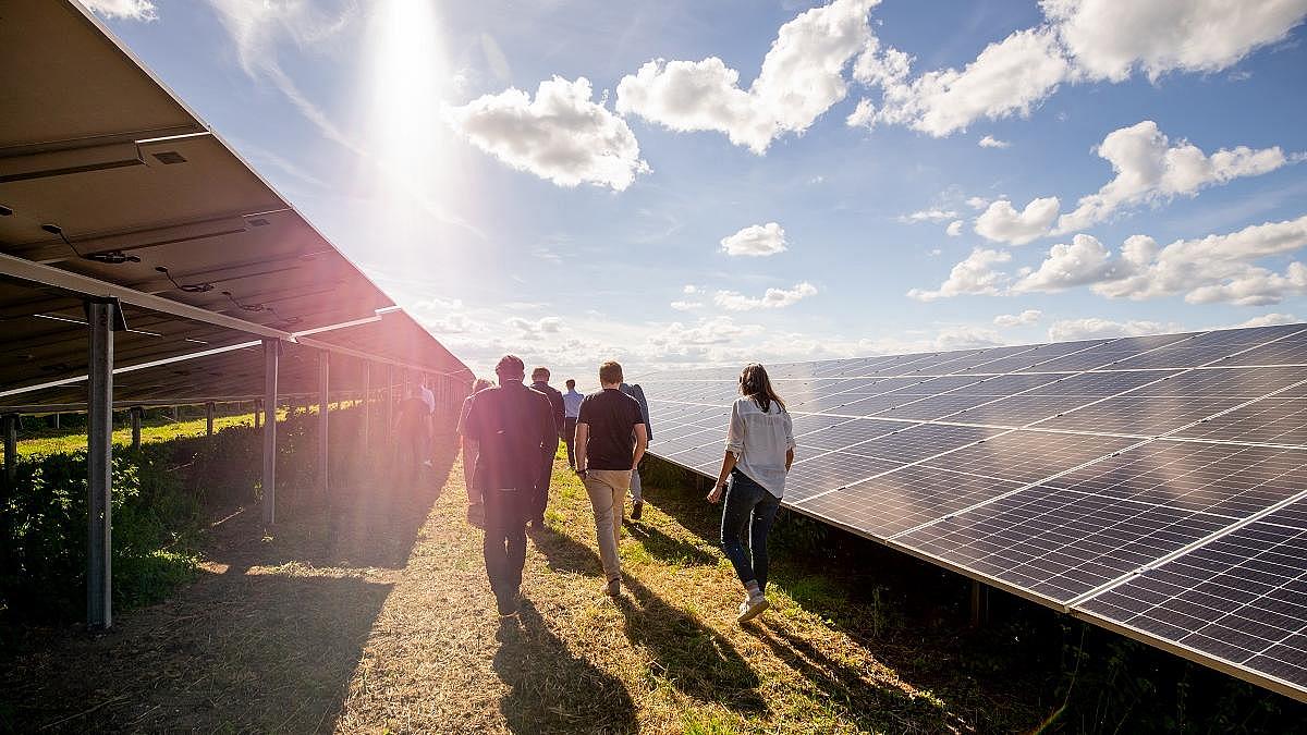 Eine Gruppe Menschen spaziert durch einen Solarpark