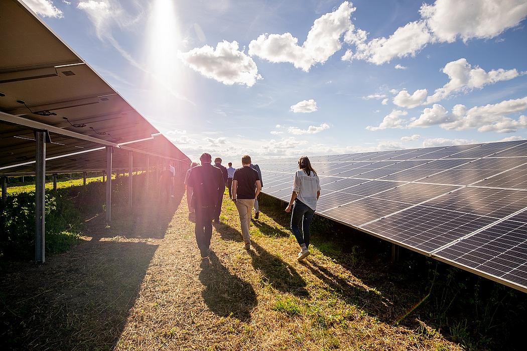 Eine Gruppe Menschen spaziert durch einen Solarpark