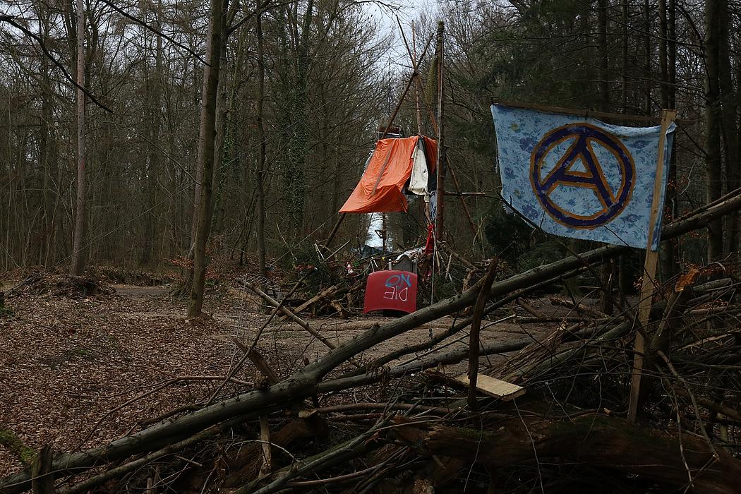 Foto: Bild von Barrikaden im Hambacher Forst