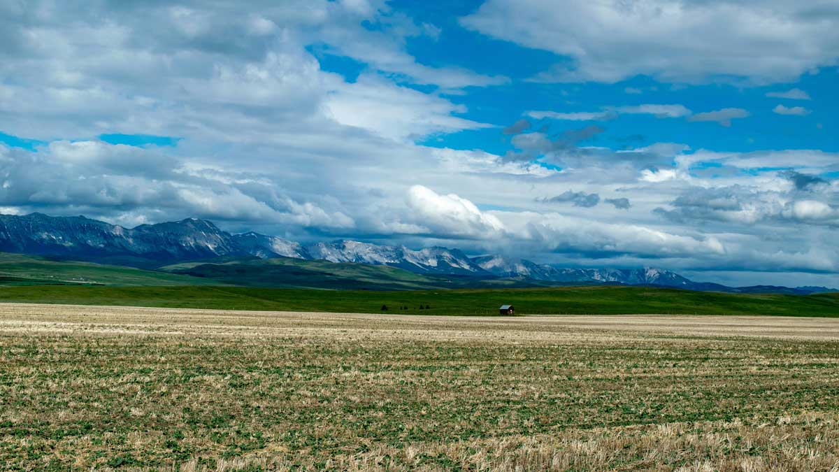 Grassteppe, im Hintergrund Berge